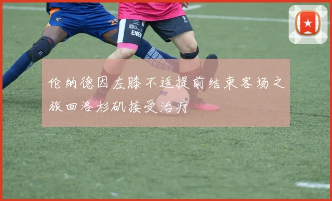伦纳德因左膝不适提前结束客场之旅回洛杉矶接受治疗