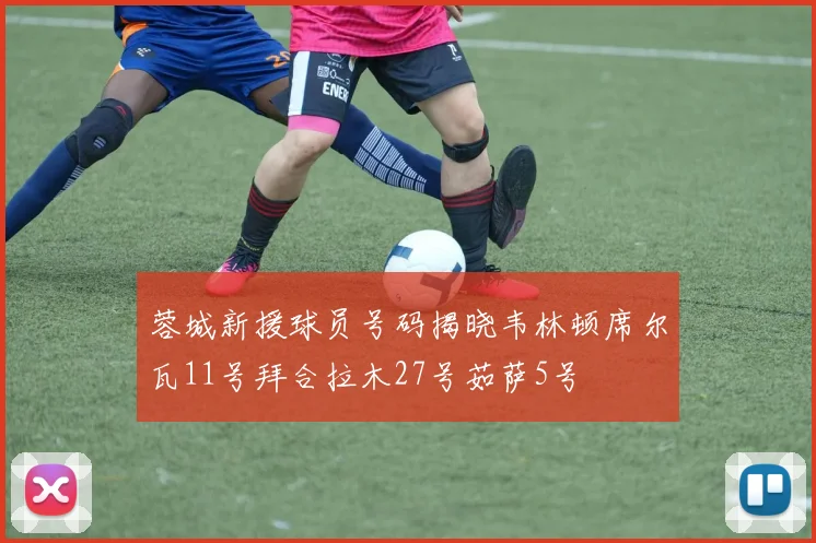 蓉城新援球员号码揭晓韦林顿席尔瓦11号拜合拉木27号茹萨5号